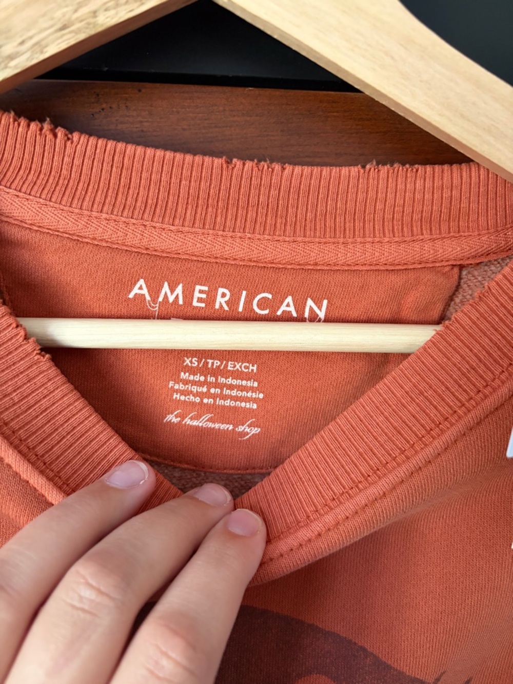 Oversized American Eagle Sweater Bundle - Picture 4 of 4